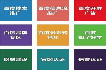 SEM推广策略：成功案例解析与效果评估